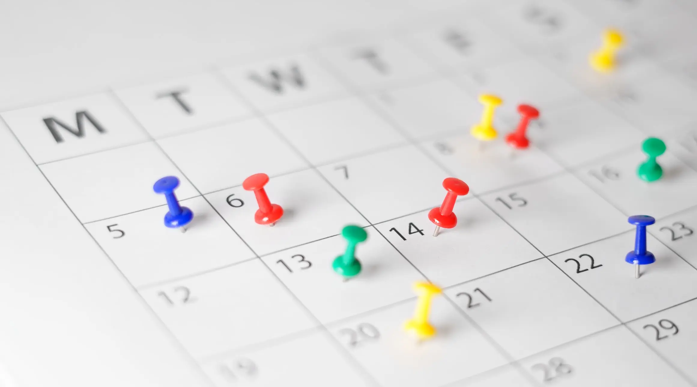 Schedule – Dive Pro Career