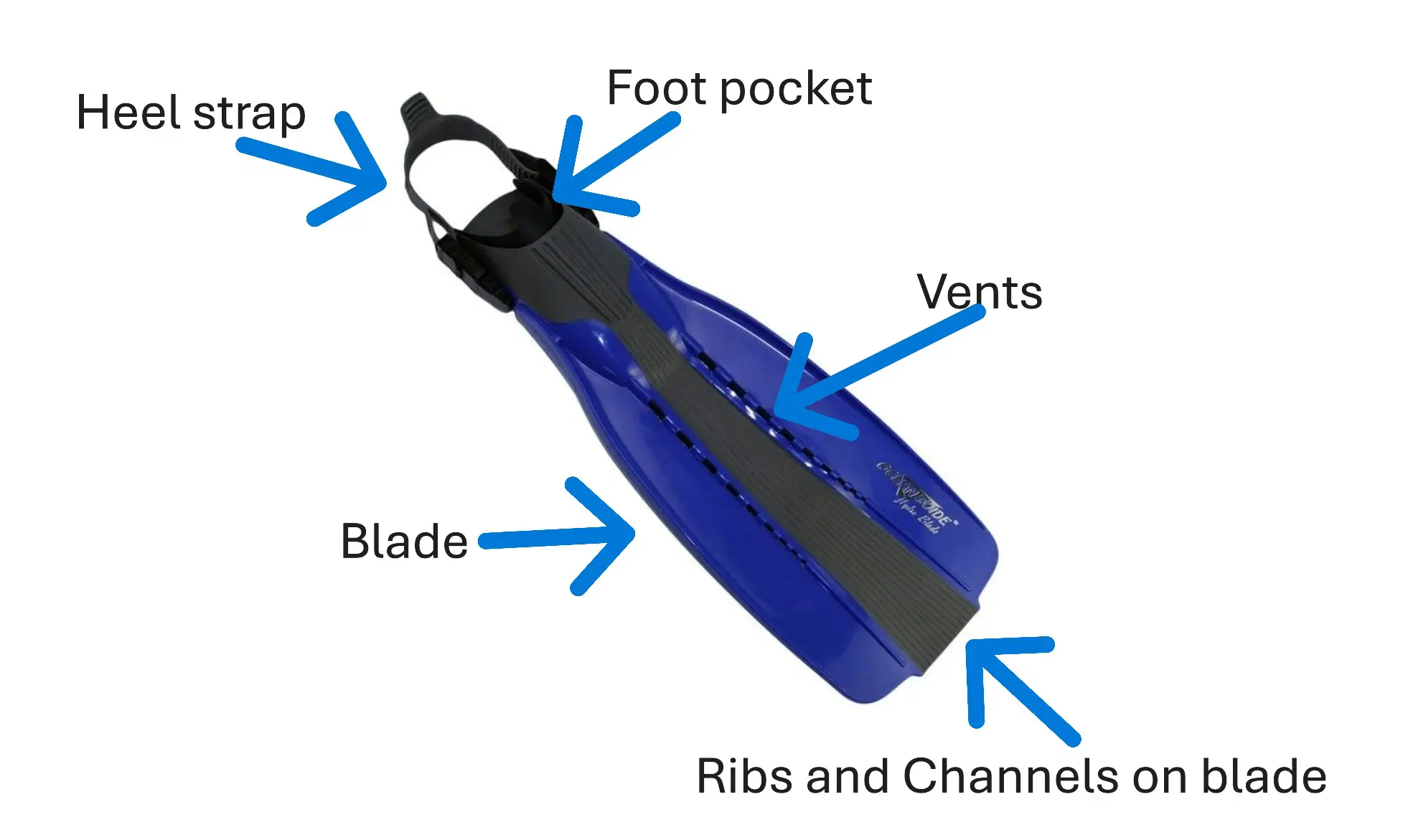 fins diagram – Dive Pro Career