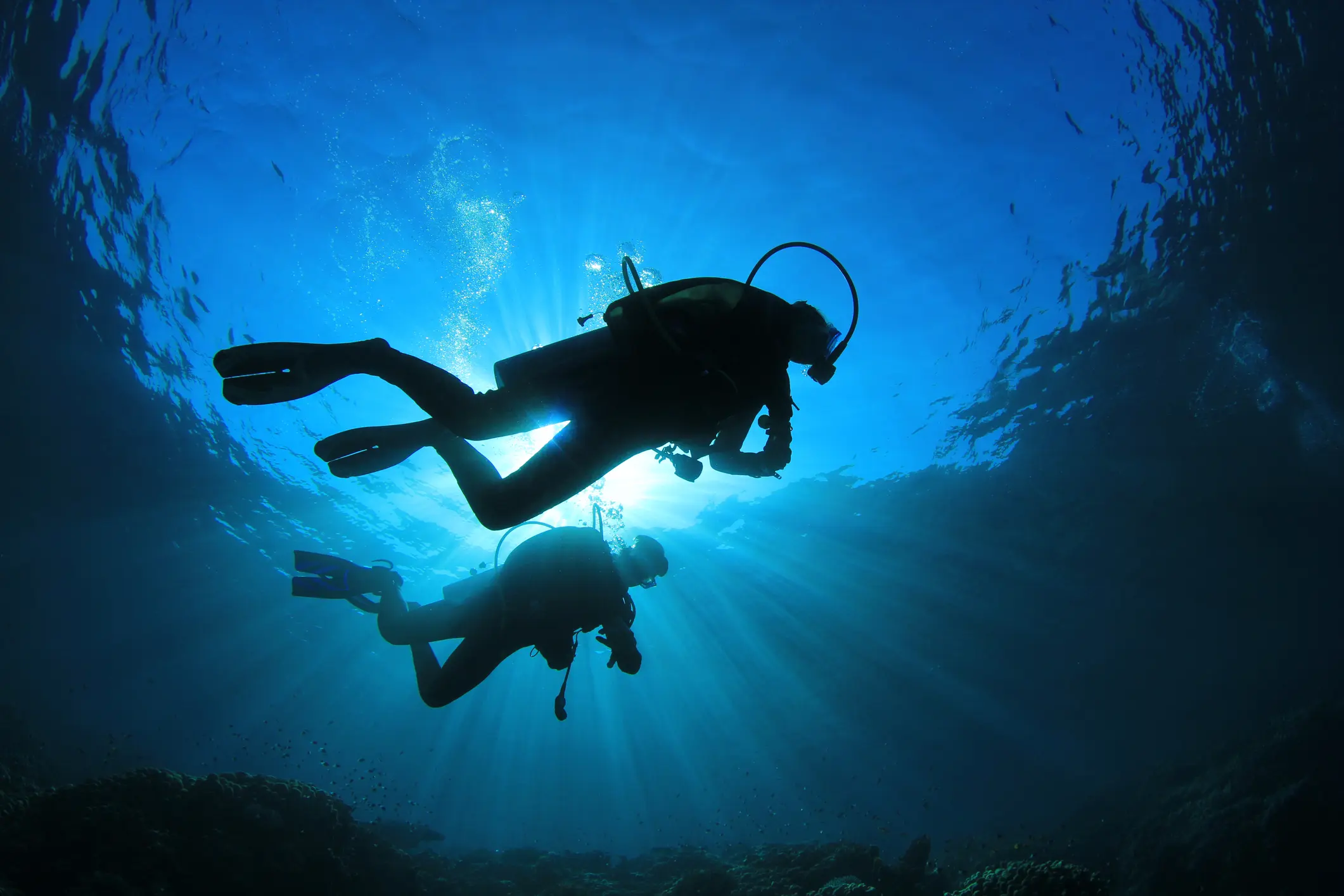 split fins – Dive Pro Career