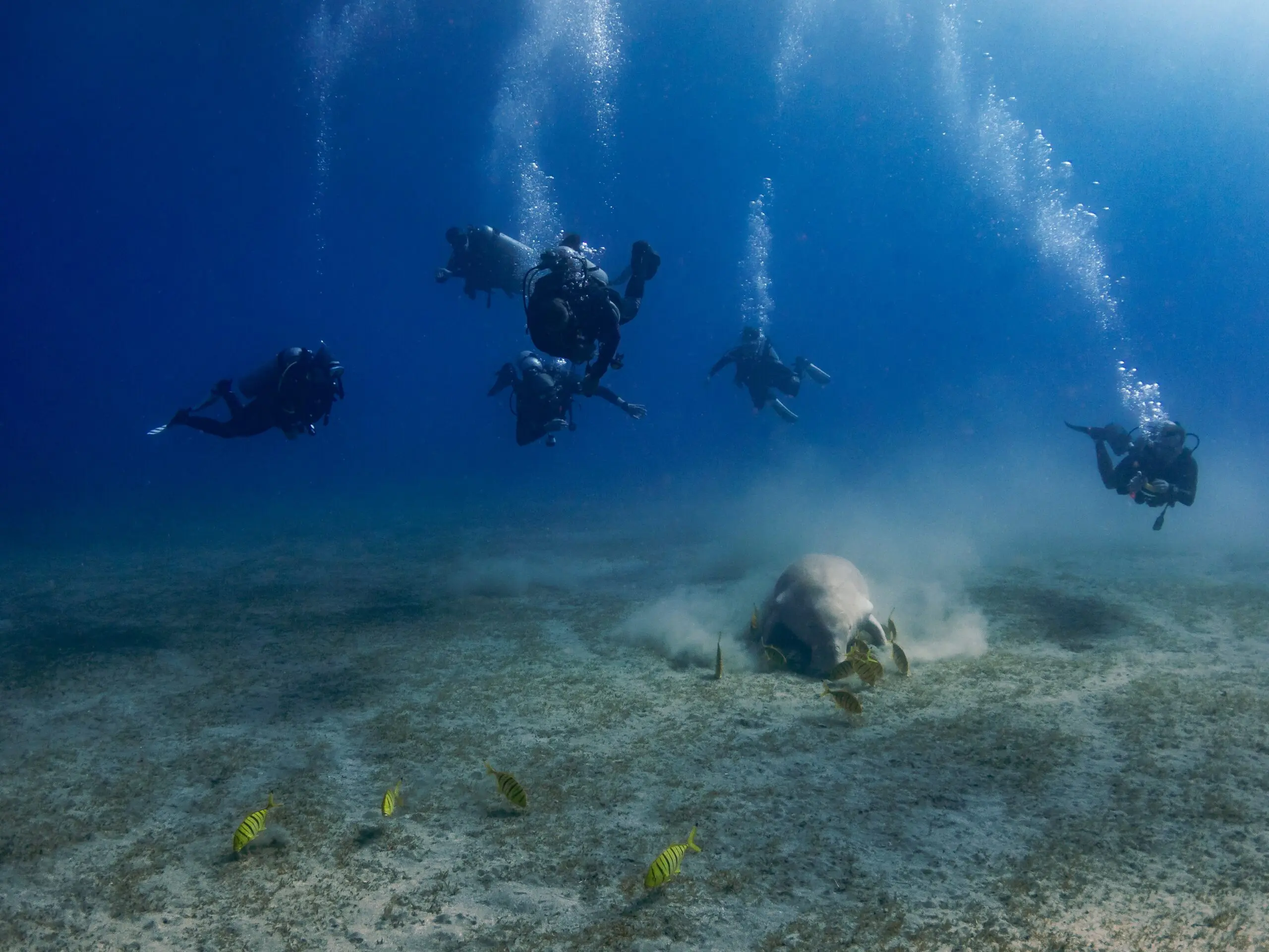 Ive-Got-My-PADI-Open-Water-Certification-What-Next-1-Blog-DiveProCareer