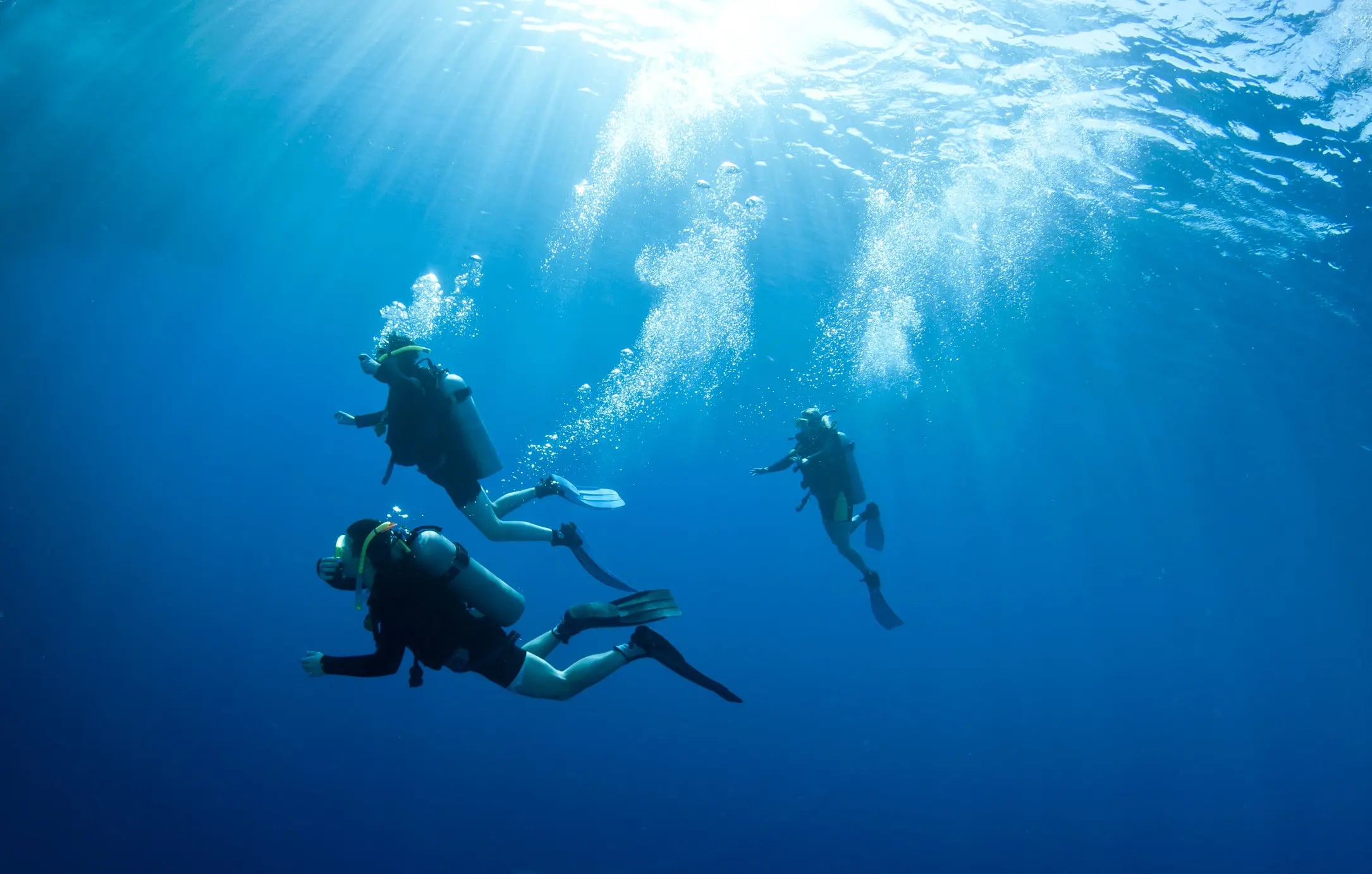 what-to-expect-from-the-padi-divemaster-internship-open-water-to-rescue-diver-Blog-2-DiveProCareer