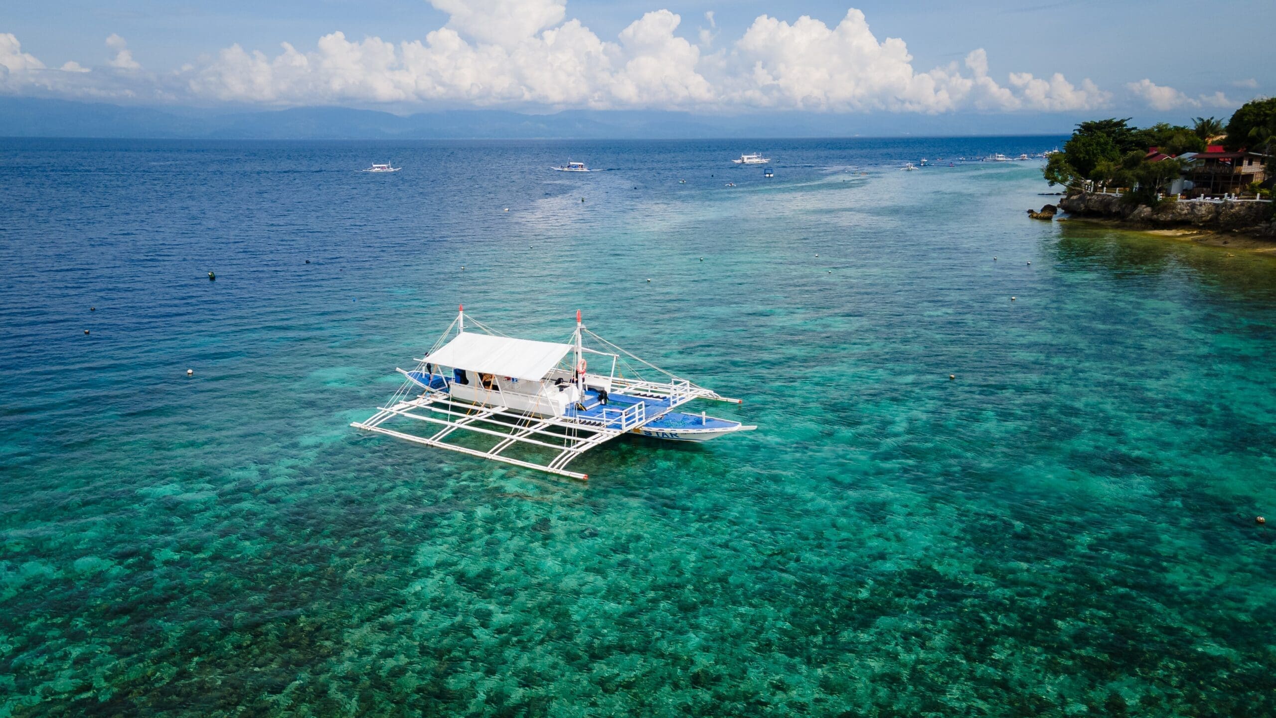 QuoVadis-Boat-DiveProCareer