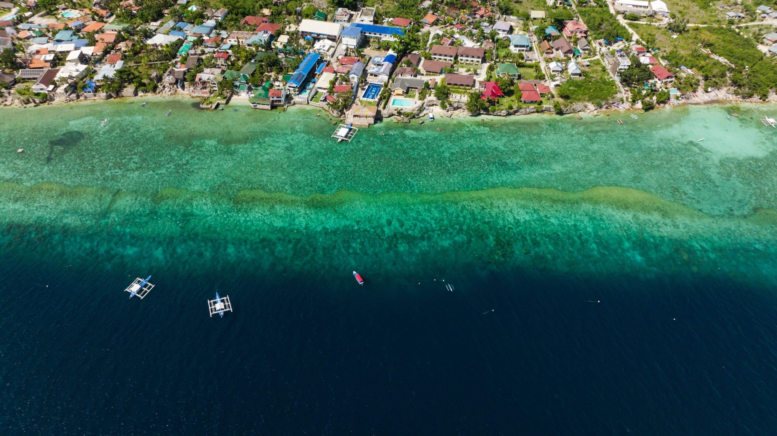 Divemaster Internship Courses – DiveProCareer
