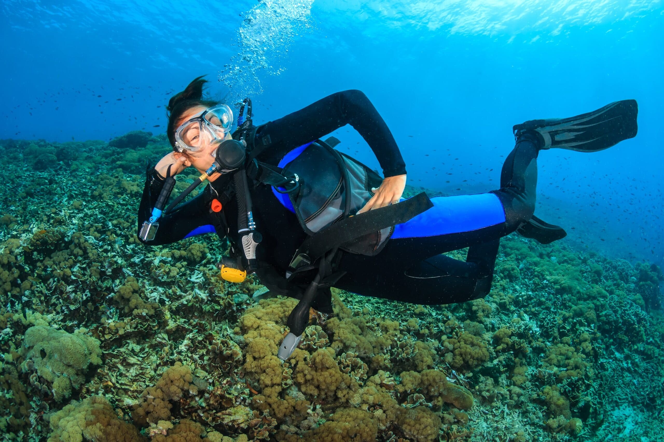 PADI Divemaster Course - The Exciting Way to Start Your Scuba Diving ...