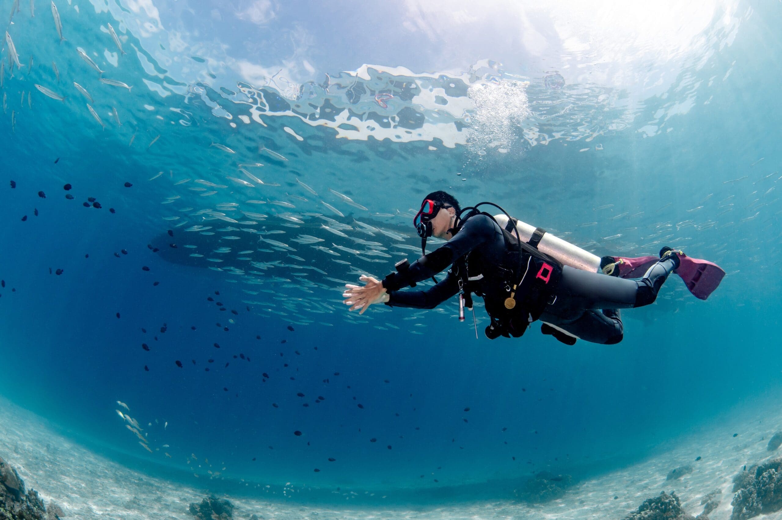PADI Peak Performance Buoyancy Speciality Course – DiveProCareer
